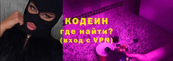 гашик Верея