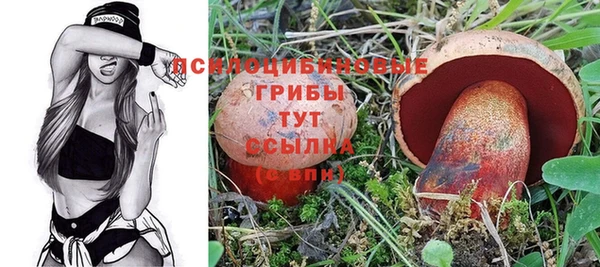 бошки Новочеркасск