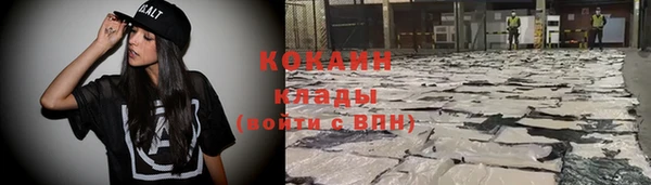 гашик Верея