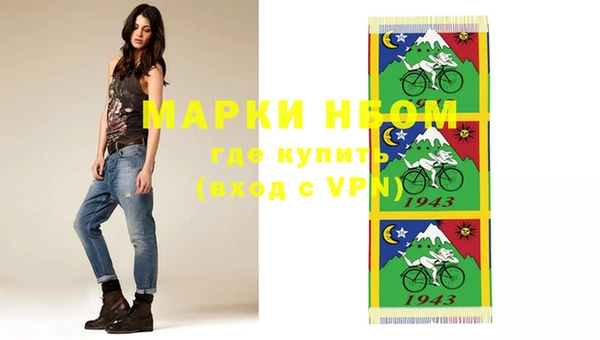 гашик Верея