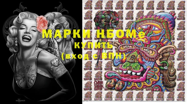 гашик Верея