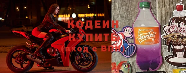 гашик Верея